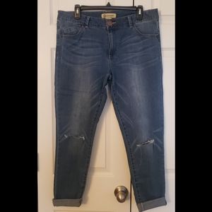 Democracy Ankle Skimmer Jeggings